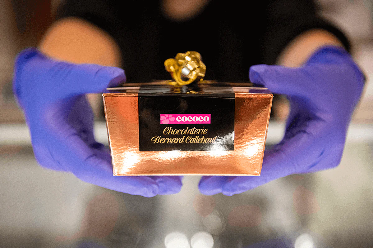 Award-Winning Cocoa Masterpieces